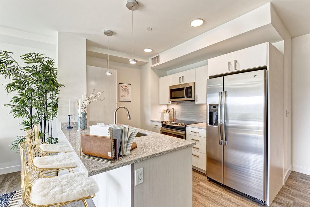 kitchen with stainless steel appliances and sleek counters