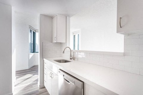 a white kitchen with a sink and a dishwasher