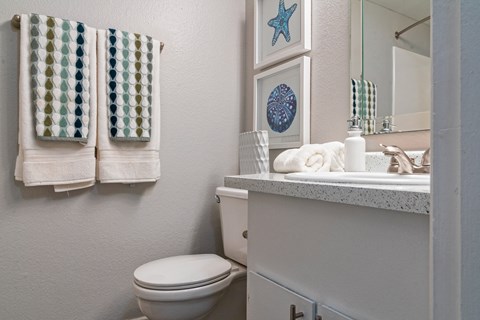 A bathroom with a toilet and a sink and a mirror at Westmount at Urban Trails, Mesa