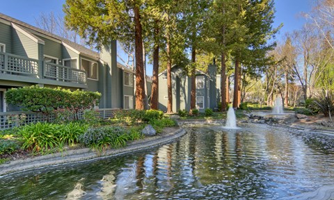 pond between buildings pond between buildings at Wood Creek Apartments, Pleasant Hill, 94523