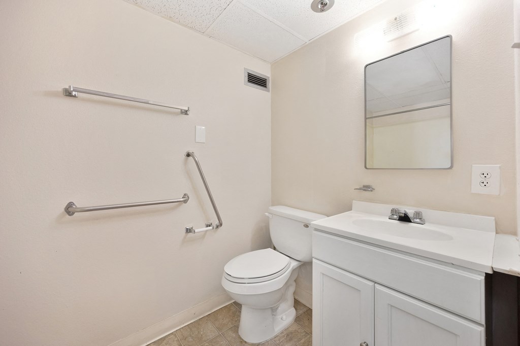a bathroom with a toilet and a sink and a mirror