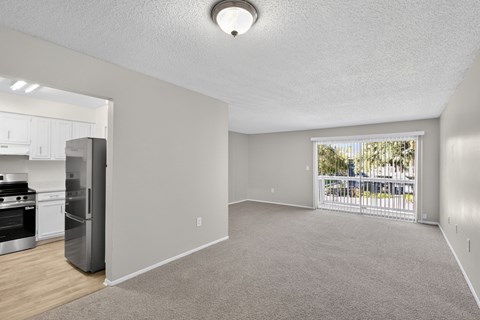 A spacious living room with a carpeted floor and a view of the outdoors through a sliding glass door. at Foxcroft Apartments, Tampa, 33614
