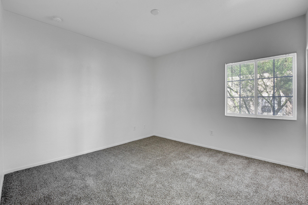 an empty room with carpet and a window