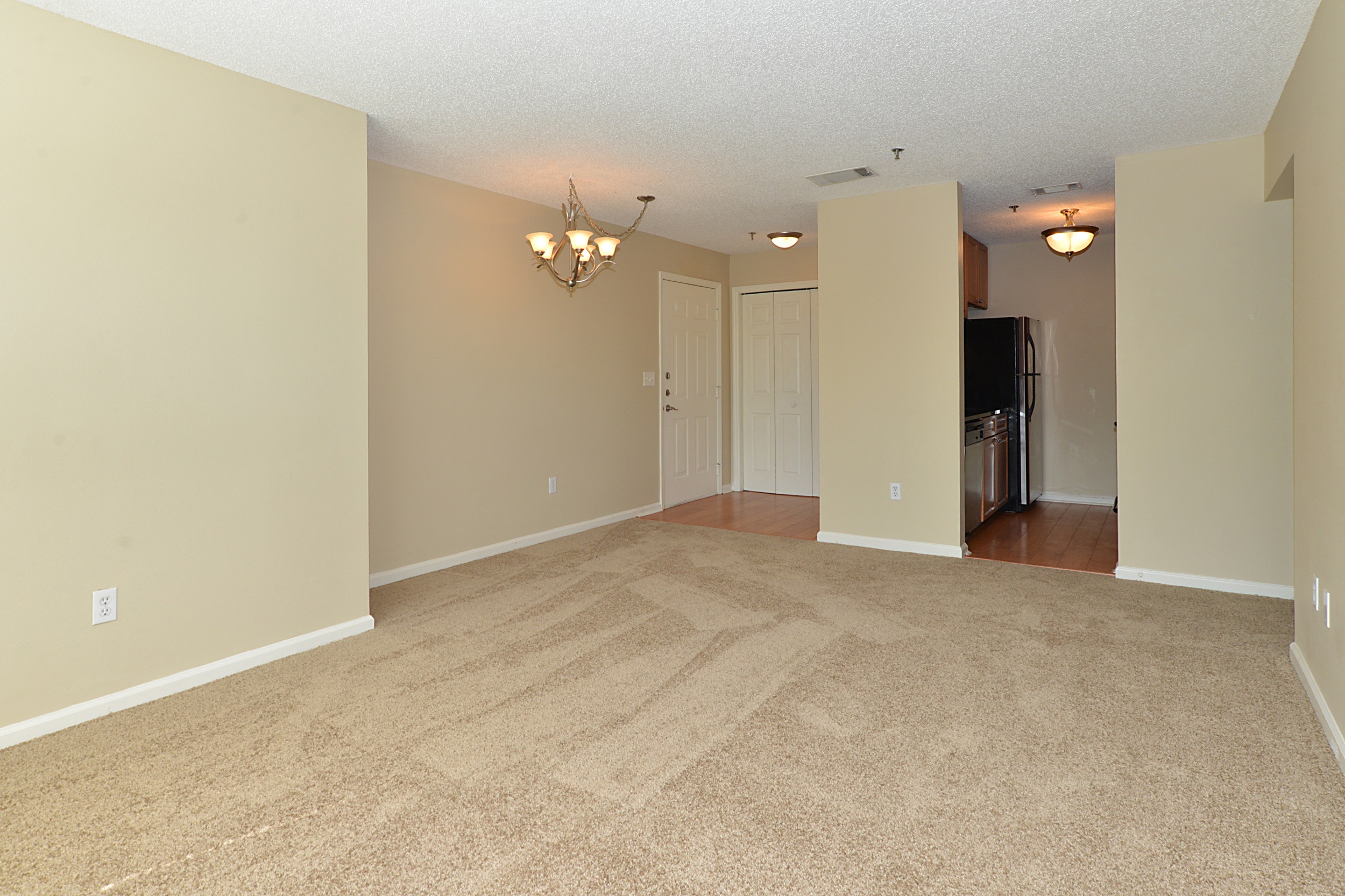 royal ridge apartments st petersburg fl