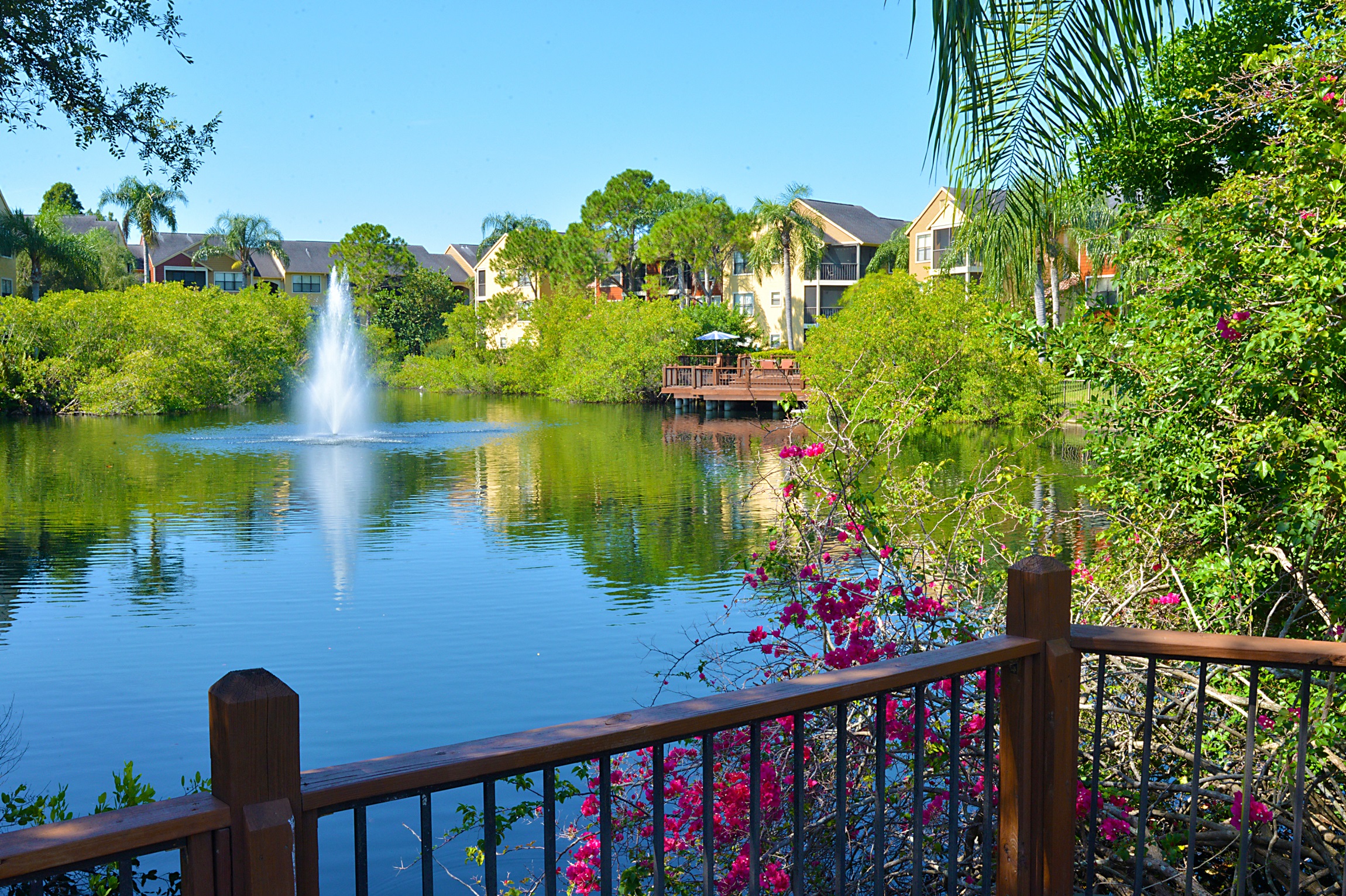 Waterside view at Mandalay on 4th Apartments, Florida, 33716