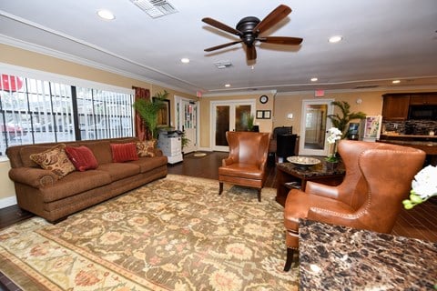 a living room with leather furniture and a rug