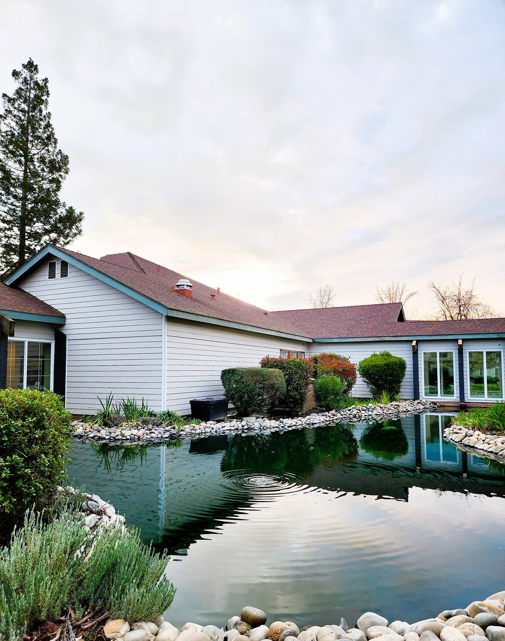 a house with a pond in front of it