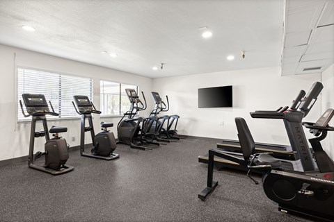 A gym with a row of exercise bikes and a television mounted on the wall.