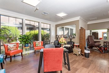 Salon - Photo Gallery 6