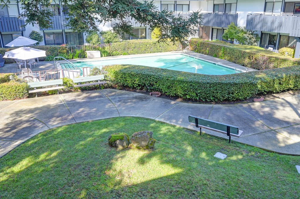 a backyard with a swimming pool and a bench