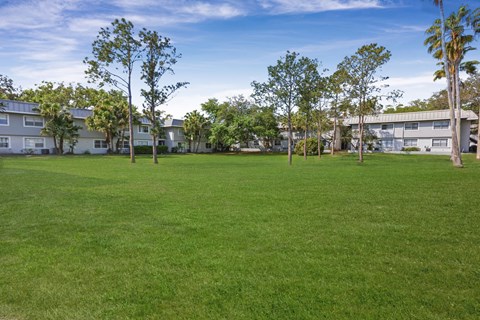 A grassy field with trees and buildings in the background. at Willow Brooke Apartments, Apartments, Tampa, FL