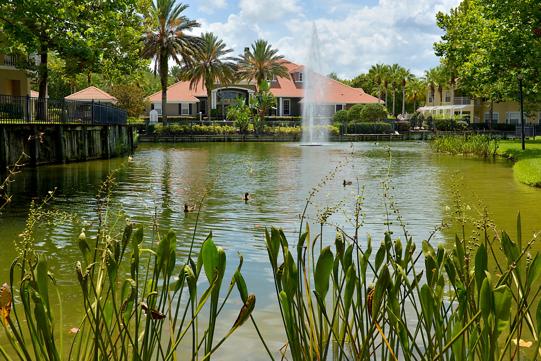 Arbor Lakes Pond Fountain Exterior Sanford Orlando Florida
