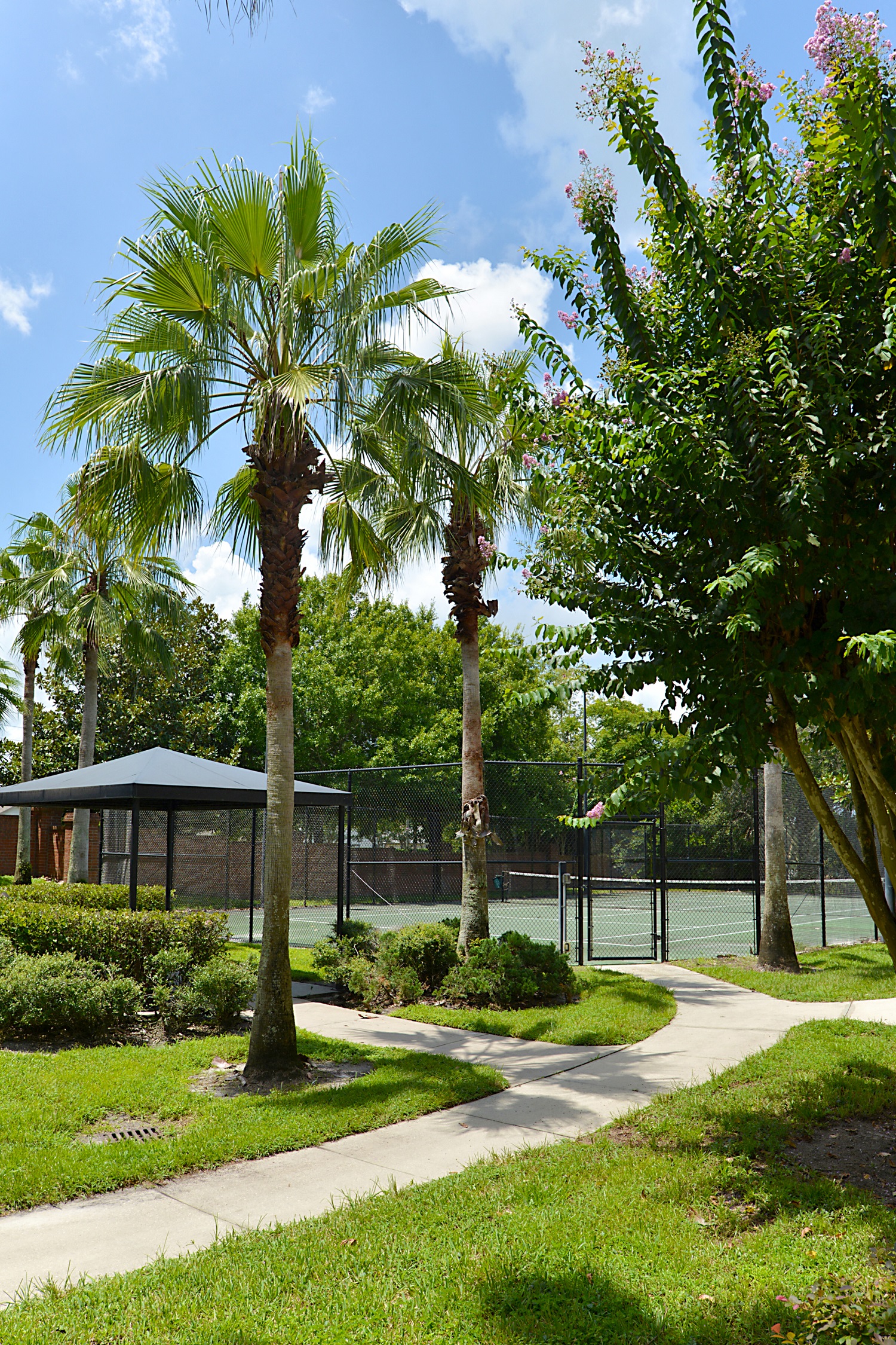 Arbor Lakes Tennis Court Sanford Orlando Florida