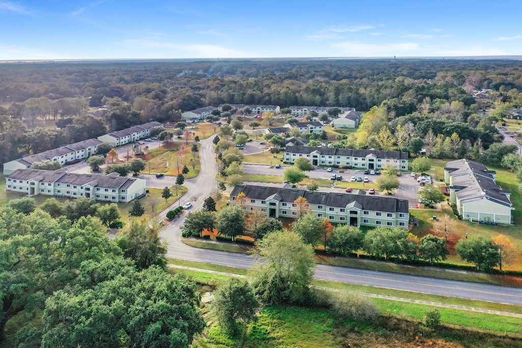 A bird's eye view of a residential area with houses and trees.