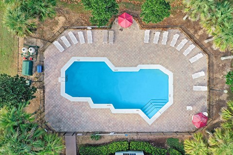 A large blue swimming pool surrounded by a brick border and palm trees.