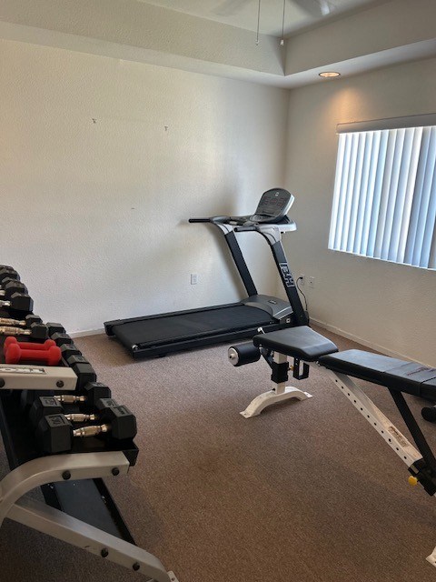 A home gym with a treadmill, dumbbells, and weight bench.