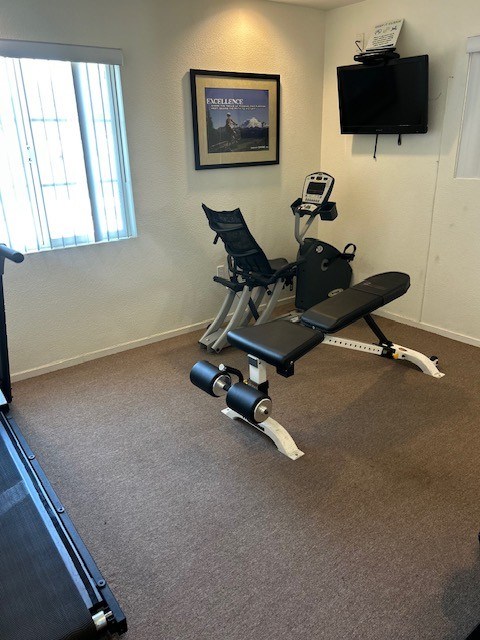 A black and white home gym with a treadmill, weights, and a bench.