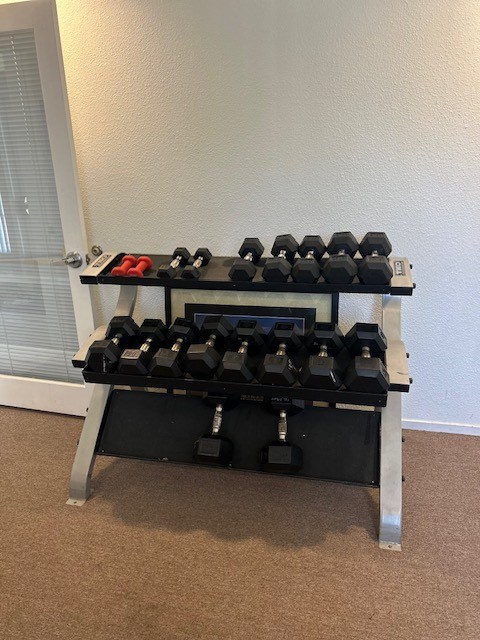 A set of dumbbells is placed on a rack in a room.