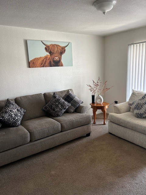 A living room with a grey couch and a cow picture on the wall.