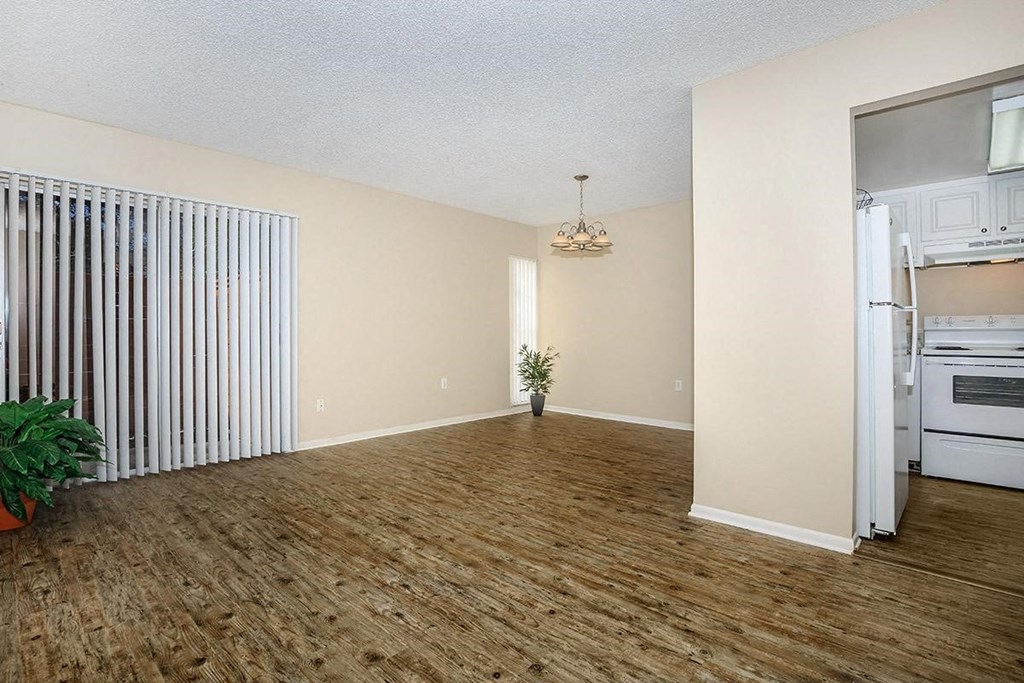 The Place at Davis Island Tampa Florida Kitchen and Living room