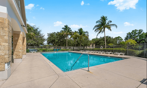 A large outdoor swimming pool surrounded by a concrete patio and palm trees.