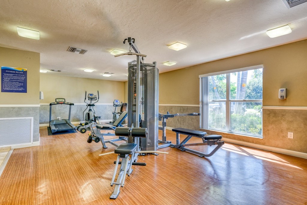 A gym with a variety of equipment including a treadmill, weights, and a bench press.