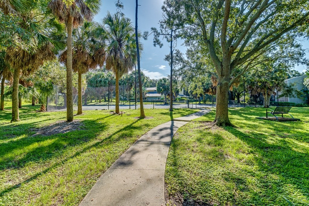 a path through a park with trees and benches