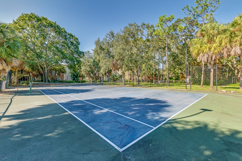 a tennis court with trees in the background on a sunny day