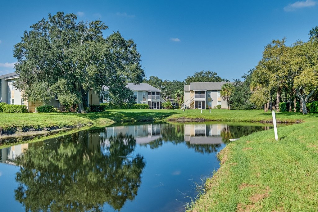 the pond in front of our apartments is surrounded by grass and trees