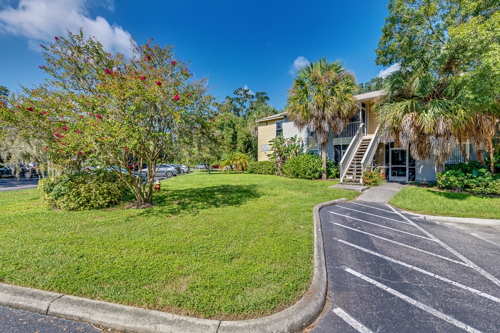 a house with a lawn and palm trees in front of it