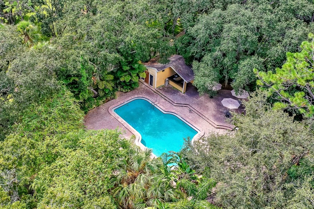 an aerial view of a pool in the middle of trees