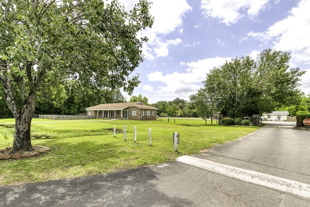 A tree stands in a grassy area next to a road with a stop sign in the distance.