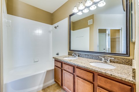 a bathroom with a large mirror and two sinks