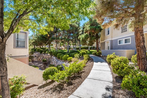 a walkway between two buildings with trees and bushes