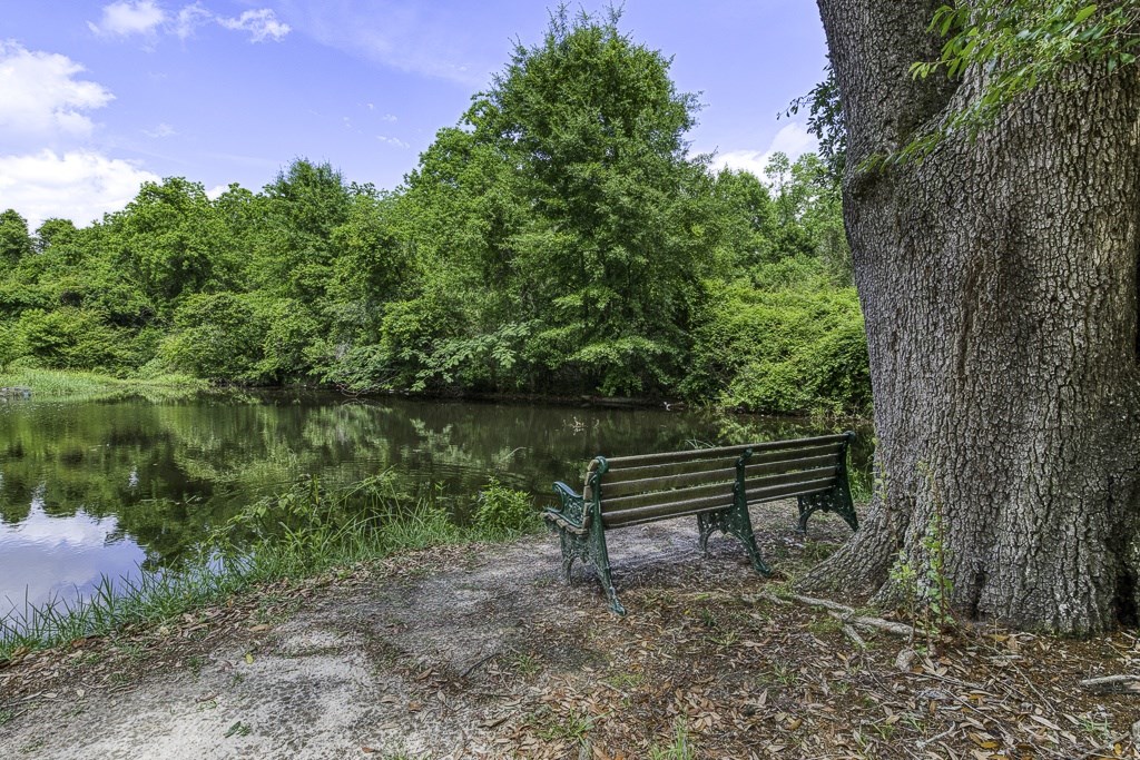 A bench sits next to a tree by a lake.