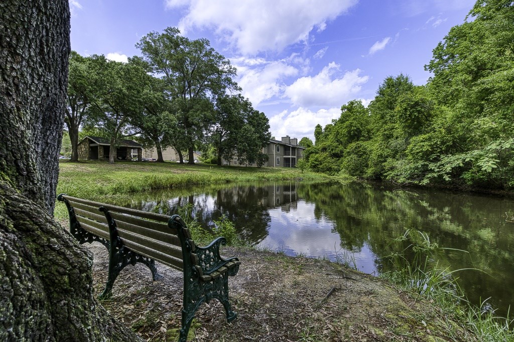 A bench sits next to a tree by a pond.