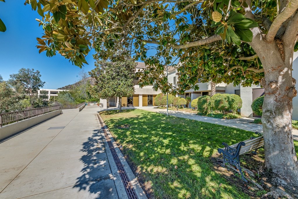 A tree with a bench under it is in the foreground of a sunny street.
