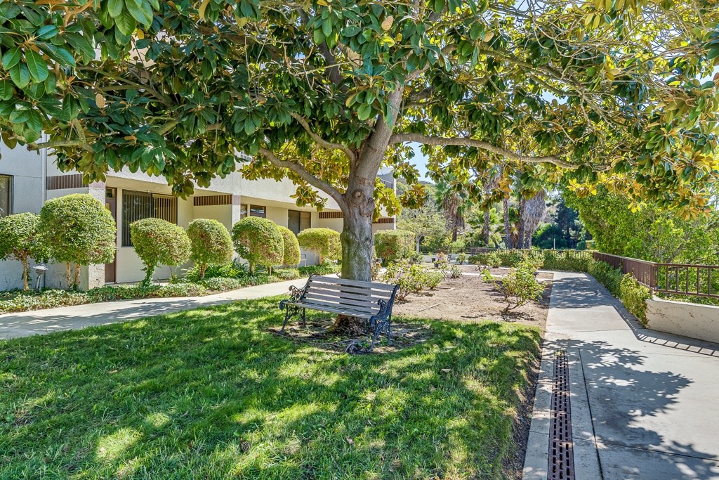 A tree with green leaves is in the middle of a grassy area.