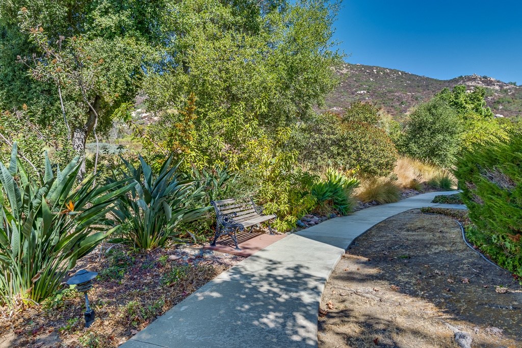 A pathway with a bench and trees on the side.