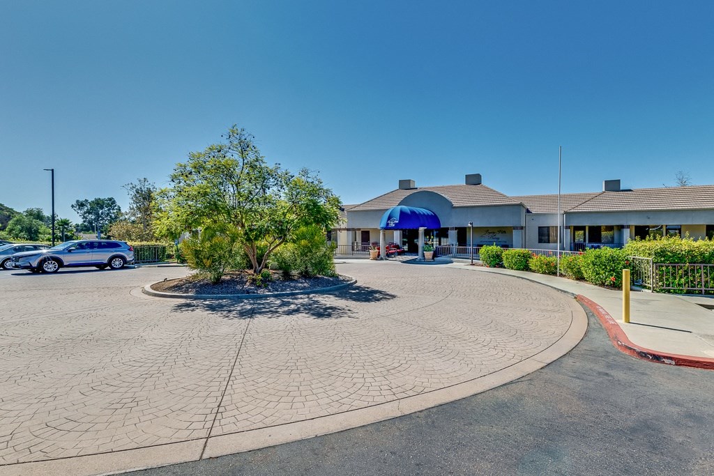 A parking lot with a building and a tree in the middle.