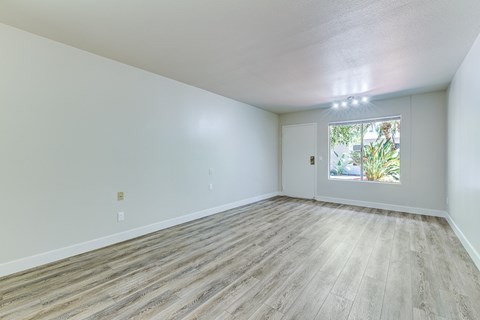 Empty room with wooden flooring and a window.