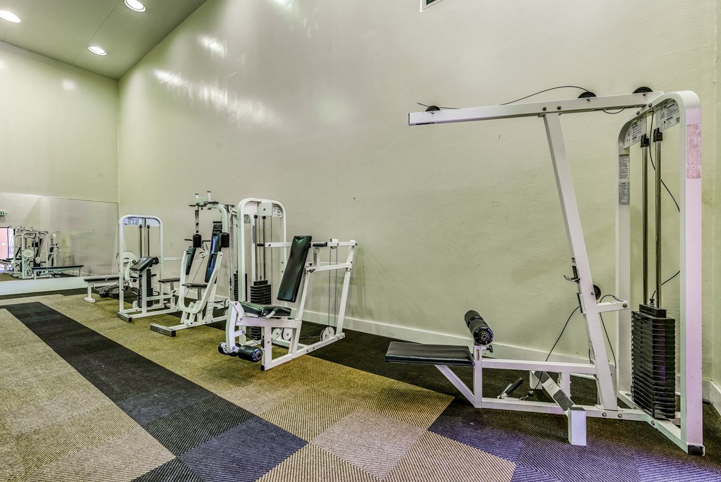 a row of weights machines in a gym
