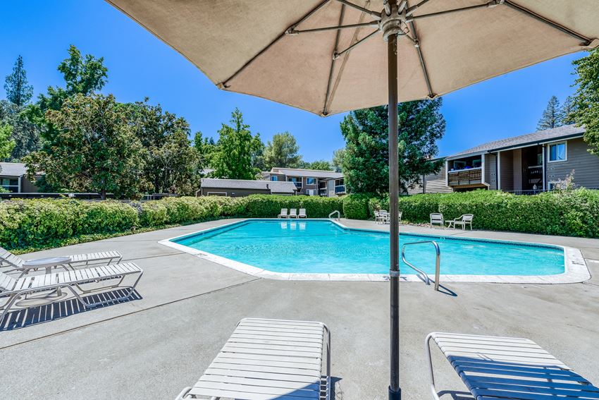 take a dip in the resort style pool