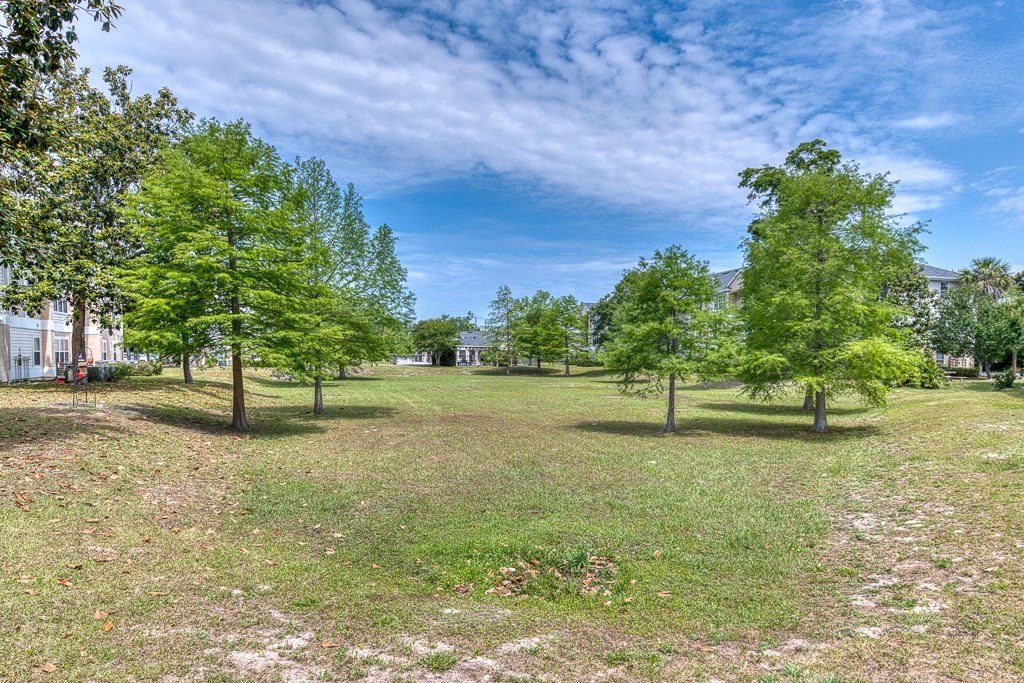 A park with green grass and trees under a blue sky.