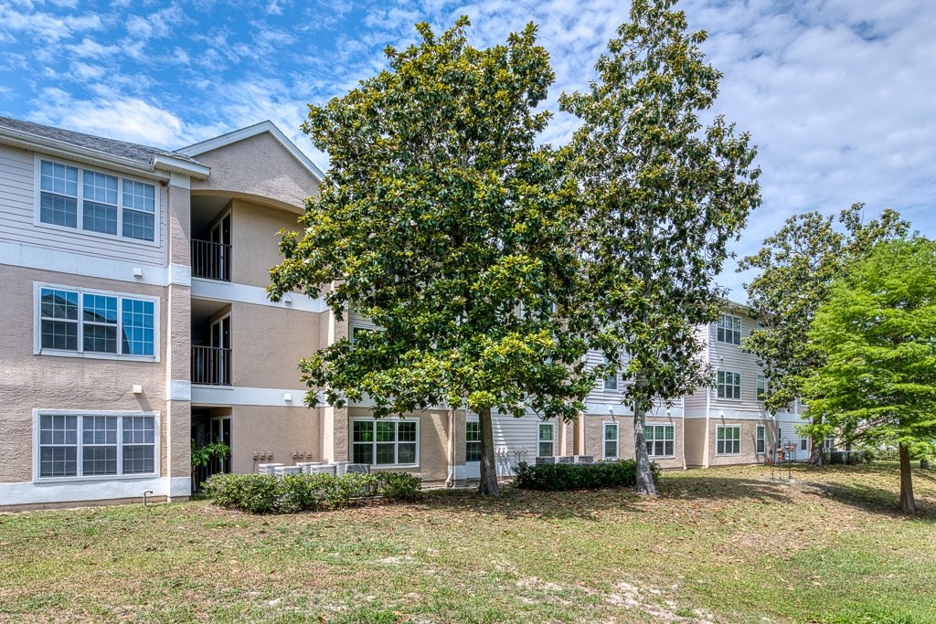 A tree in front of a building with a blue sky in the background.