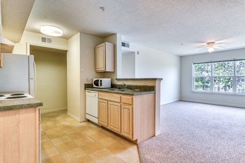A kitchen with a refrigerator, microwave, and dishwasher.