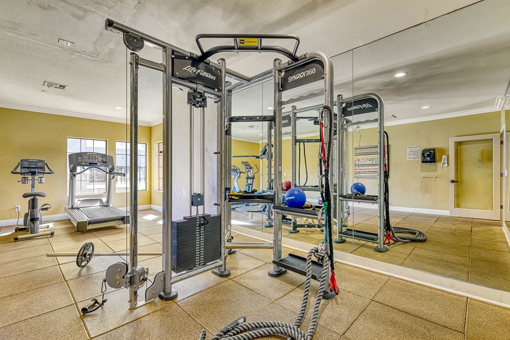 a gym with weights and cardio equipment in a home gym