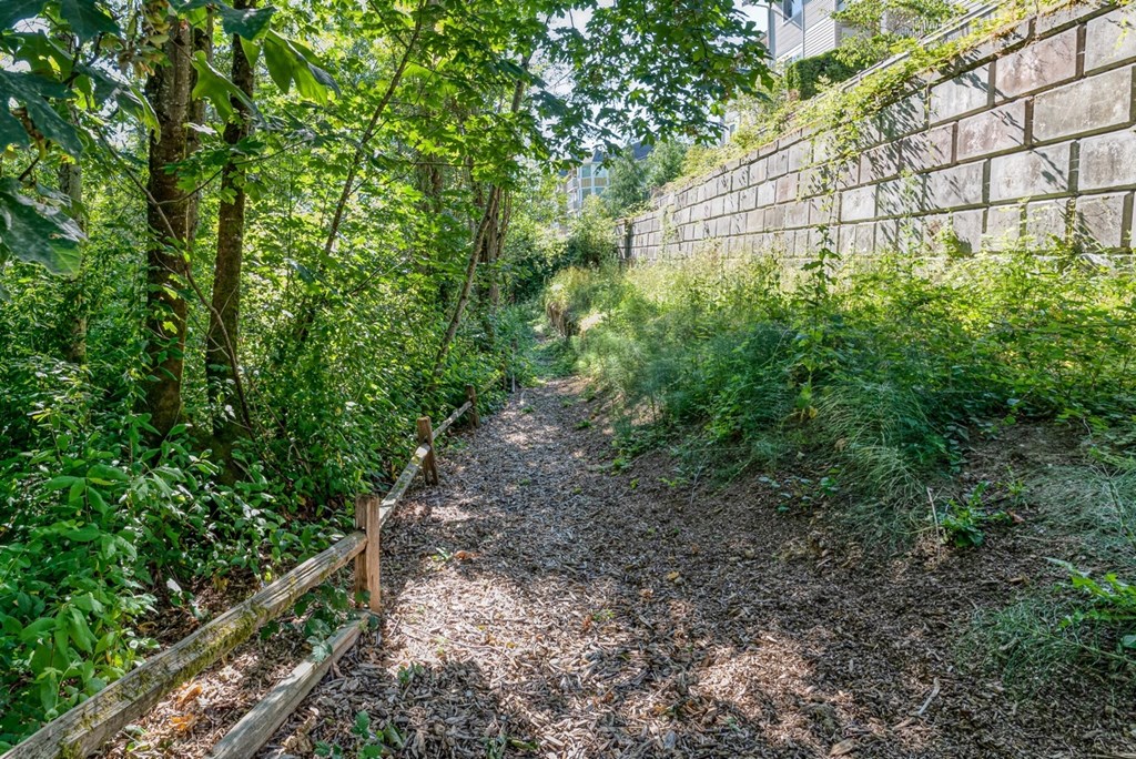 walking trail near community