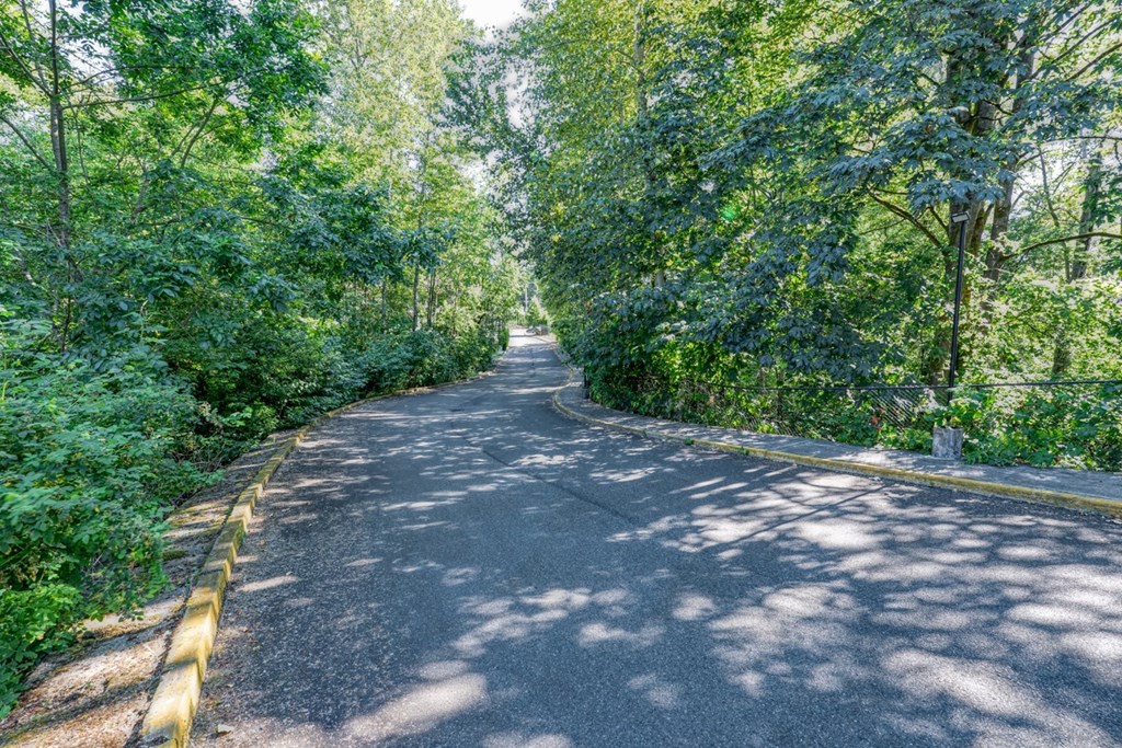 driveway lined with trees leading up to the community