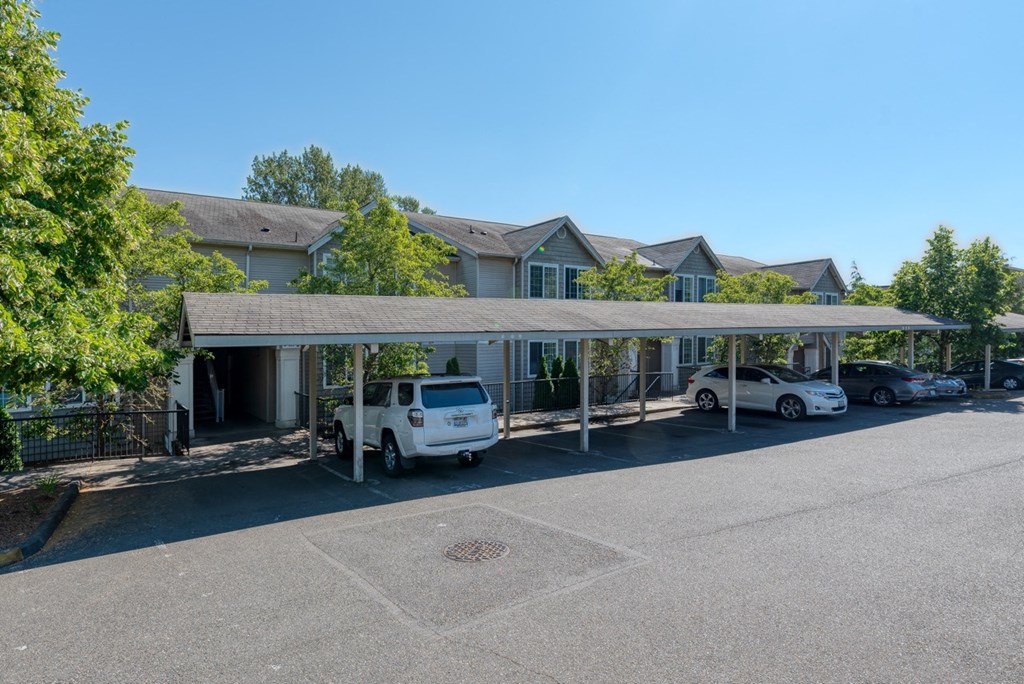 exterior entrance to property surrounded by trees
